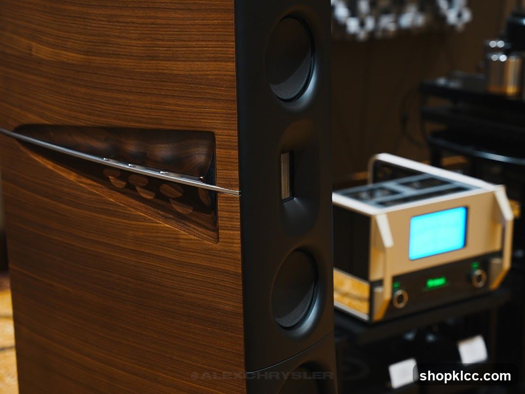 High-End Audio Equipment