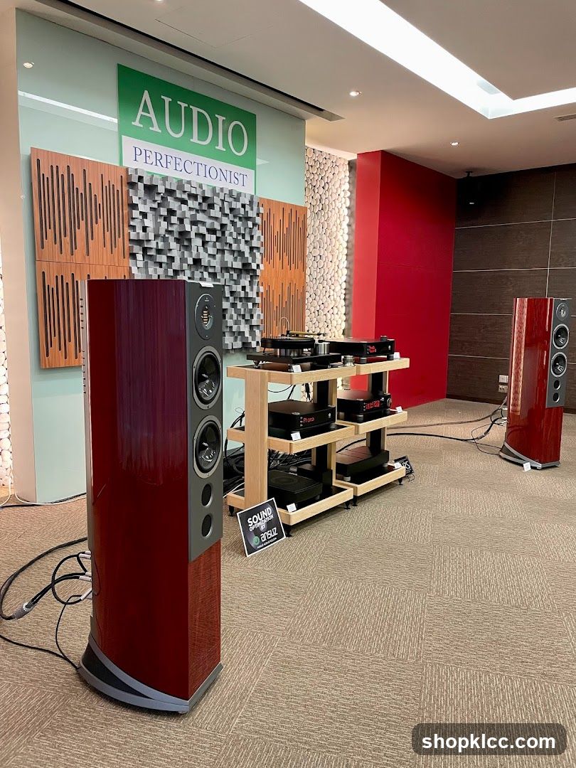 Audio Perfectionist Showroom