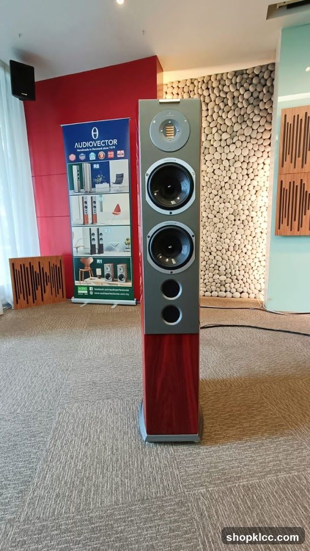 Audiovector Speakers Display