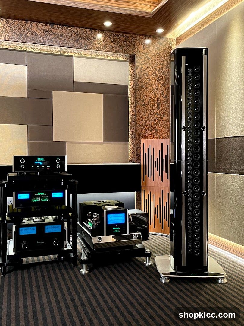 High-end audio equipment display