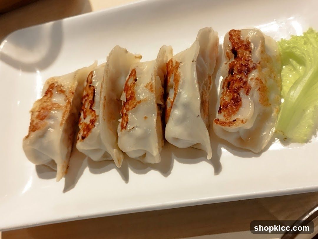 Pan-Fried Dumplings