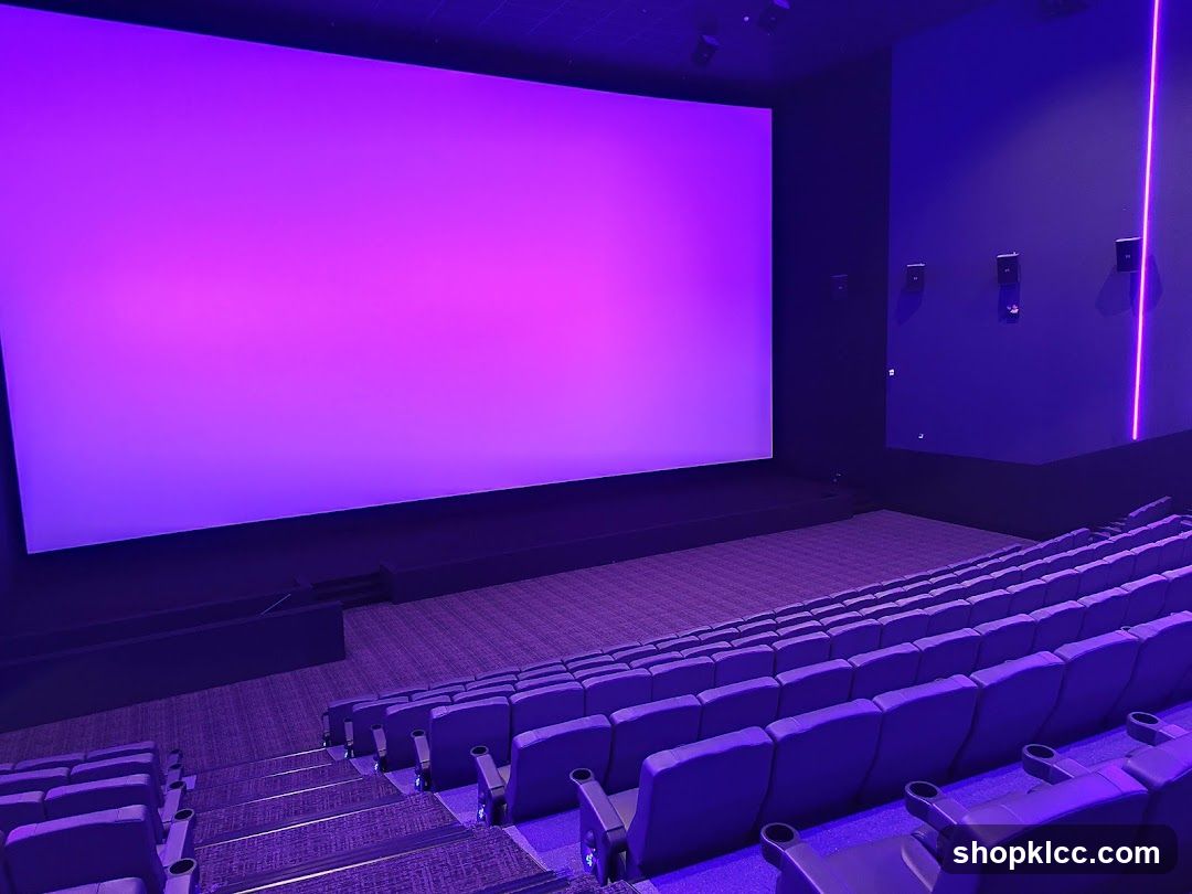 Empty Cinema Auditorium