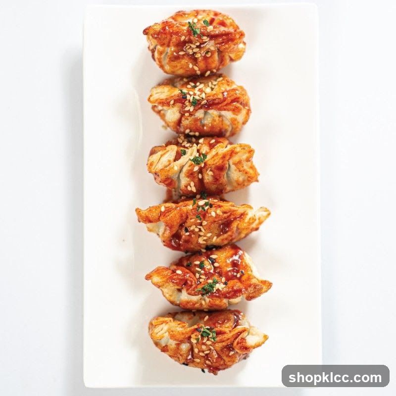 Fried Dumplings