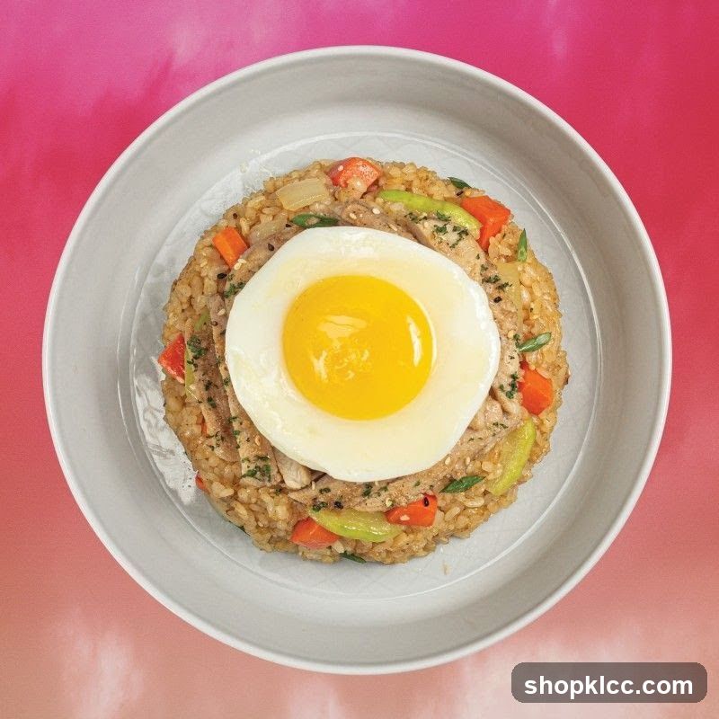 Fried Rice with Egg