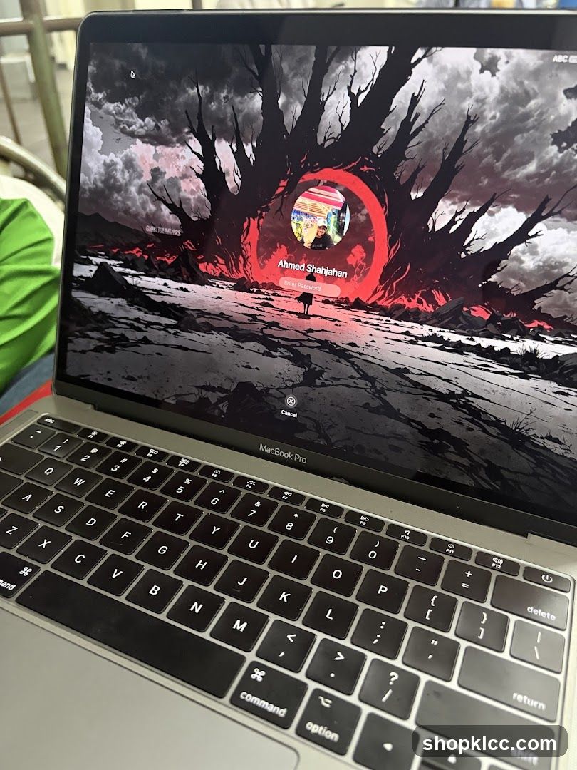 MacBook Pro Login Screen