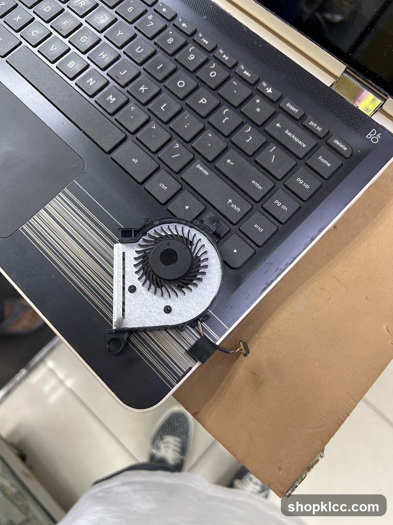 Laptop fan and keyboard