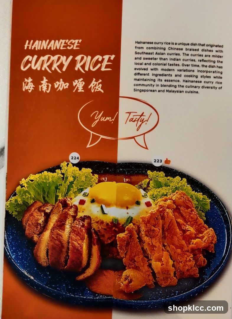 Hainanese Curry Rice