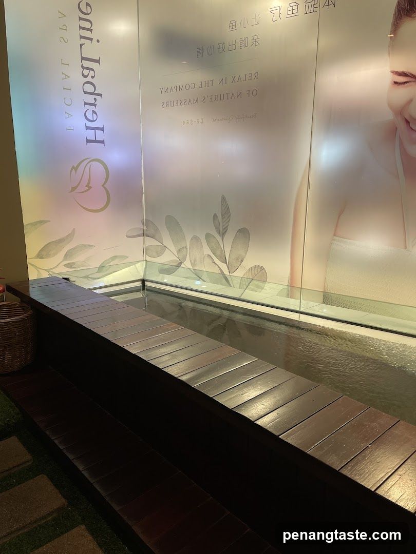 Spa Interior with Water Feature