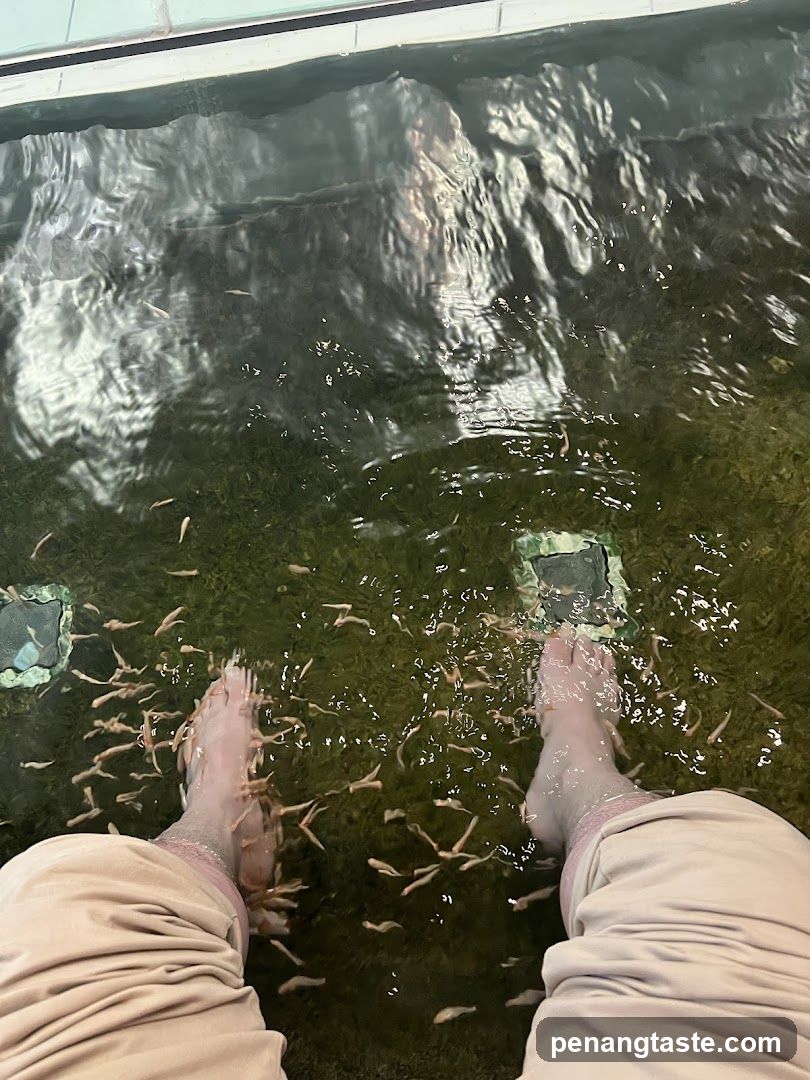 Fish Pedicure